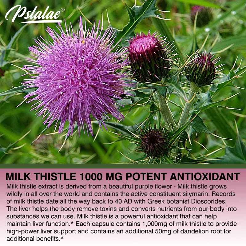 天然オオアザミ サプリメント - リッチなシリマリンとタンポ - Milk Thistle Silymarin のレビューと価格